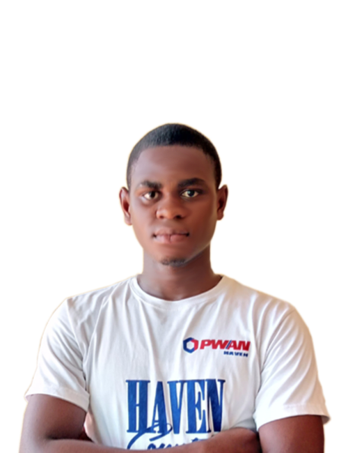 Portfolio Image